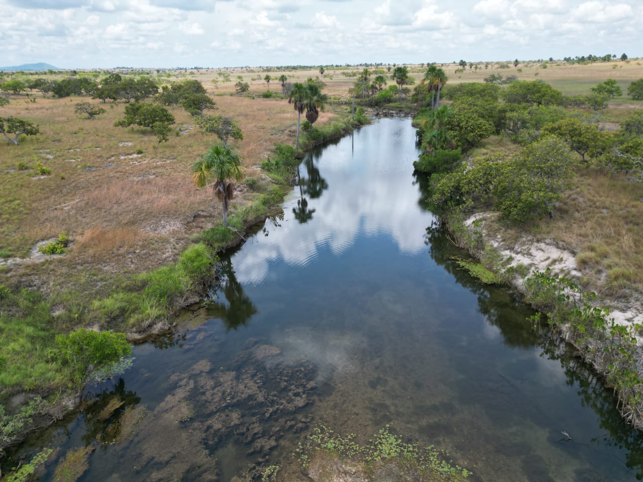 Corpo d’água em fazenda de Roraima