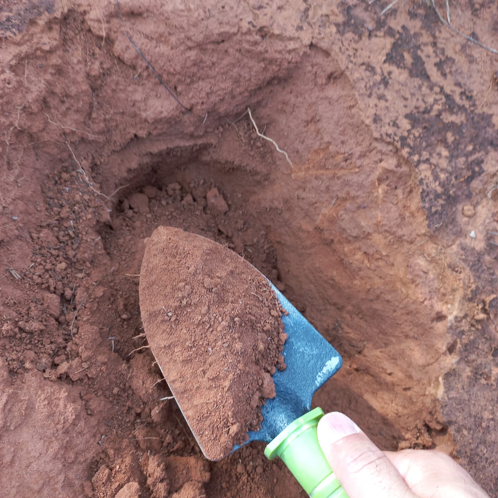 Leitura de solo em campo em área rural de Roraima